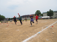 p6071189.jpg